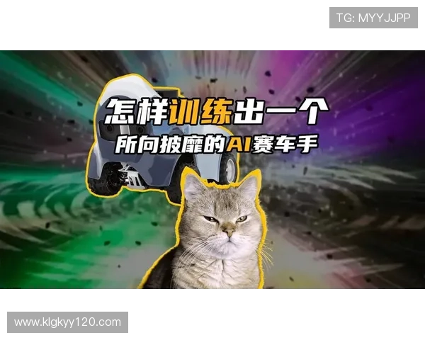 从零开始掌握赛车基础知识与实战技巧的新手全面入门指南